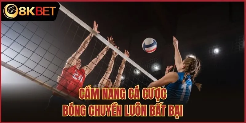 Cẩm nang cá cược bóng chuyền luôn bất bại