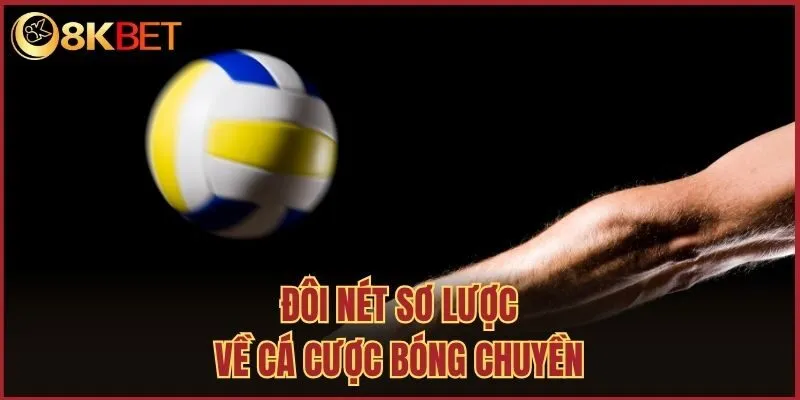 Đôi nét sơ lược về cá cược bóng chuyền